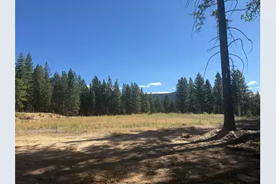 19869 Gaston Road, Nevada City, CA 95959 - Photo 4
