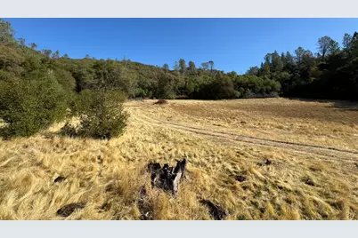 0 County Road 270, Oregon House, CA 95962 - Photo 8
