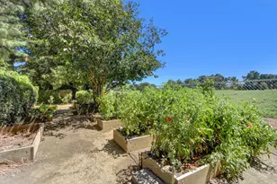 44703 S El Macero Dr, El Macero, CA 95618 - Photo 62