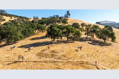 3206 Gillam Road, Valley Springs, CA 95252 - Photo 26