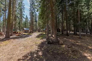 15530 Hwy 4, Camp Connell, CA 95223 - Photo 36
