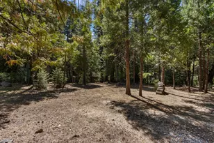 12625 Zeibright Rd, Nevada City, CA 95959 - Photo 34