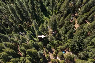 12625 Zeibright Rd, Nevada City, CA 95959 - Photo 36