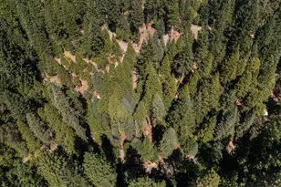 12625 Zeibright Rd, Nevada City, CA 95959 - Photo 42