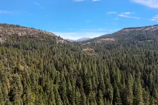12625 Zeibright Rd, Nevada City, CA 95959 - Photo 46