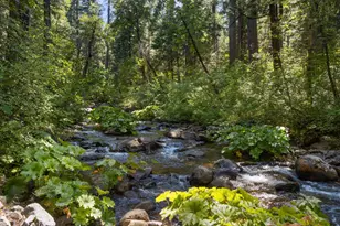 12625 Zeibright Rd, Nevada City, CA 95959 - Photo 1