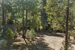 12625 Zeibright Rd, Nevada City, CA 95959 - Photo 28