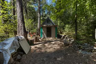 12625 Zeibright Rd, Nevada City, CA 95959 - Photo 6