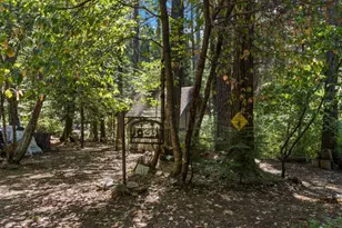12625 Zeibright Rd, Nevada City, CA 95959 - Photo 22