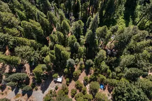 12625 Zeibright Rd, Nevada City, CA 95959 - Photo 40