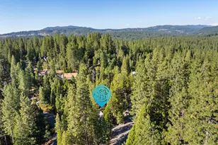 2950 Placer Way, Arnold, CA 95223 - Photo 42
