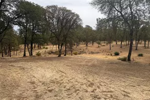 49 Drescher Tract, Oroville, CA 95966 - Photo 38