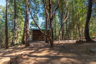 16830 McKenzie Dr, Pioneer, CA 95666 - Photo 62