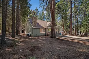 26722 State Hwy 88, Pioneer, CA 95666 - Photo 2