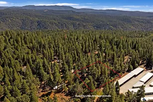 26722 State Hwy 88, Pioneer, CA 95666 - Photo 66