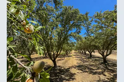 19312 S Wagner Ave, Ripon, CA 95366 - Photo 6