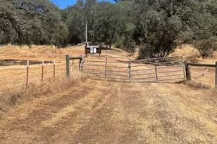 2559 Appaloosa Way, Angels Camp, CA 95222 - Photo 1