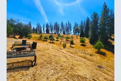 8822 Bailey Ridge Road, Wilseyville, CA 95257 - Photo 22
