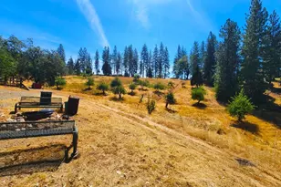 8822 Bailey Ridge Rd, Wilseyville, CA 95257 - Photo 22