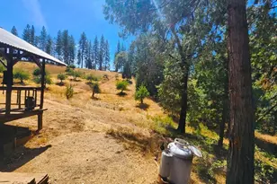 8822 Bailey Ridge Rd, Wilseyville, CA 95257 - Photo 18