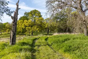 4042 Wilson Town Rd, Lincoln, CA 95648 - Photo 1