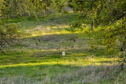 4042 Wilson Town Road, Lincoln, CA 95648 - Photo 28