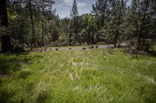 464 Hwy 193, Greenwood, CA 95635 - Photo 1