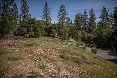 464 Highway 193, Greenwood, CA 95635 - Photo 6