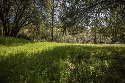 464 Highway 193, Greenwood, CA 95635 - Photo 8