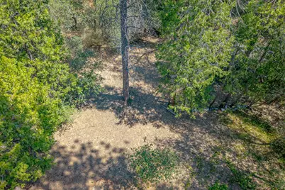 830 Sheep Ranch Road, Murphys, CA 95247 - Photo 38