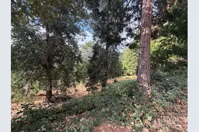 3124 Meyers Road, Camino, CA 95709 - Photo 4