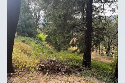 3124 Meyers Road, Camino, CA 95709 - Photo 1