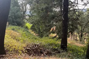 3124 Meyers Rd, Camino, CA 95709 - Photo 1