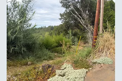 3124 Meyers Road, Camino, CA 95709 - Photo 2