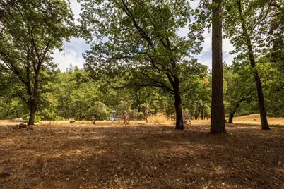 17403 Alexandra Way, Grass Valley, CA 95949 - Photo 42