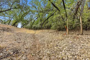 0 Silver Lode Dr, Placerville, CA 95667 - Photo 14