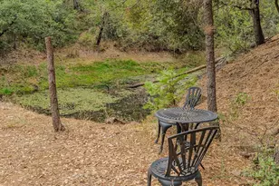 12511 Tabeaud Rd, Pine Grove, CA 95665 - Photo 72
