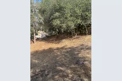 13639 Sun Forest Drive, Penn Valley, CA 95946 - Photo 8