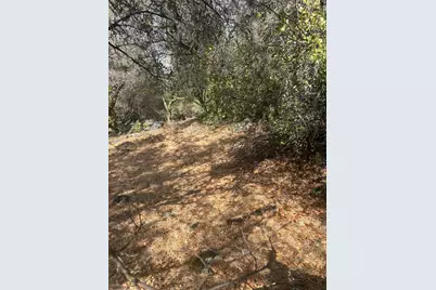 13639 Sun Forest Drive, Penn Valley, CA 95946 - Photo 10