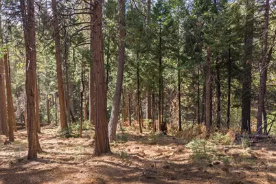 2845 Murphys Drive, Arnold, CA 95223 - Photo 42