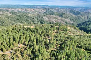 6420 Hidden Treasure Rd, Foresthill, CA 95631 - Photo 34