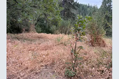 27999 Big Dipper Road, Foresthill, CA 95631 - Photo 6