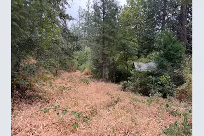 27999 Big Dipper Road, Foresthill, CA 95631 - Photo 2