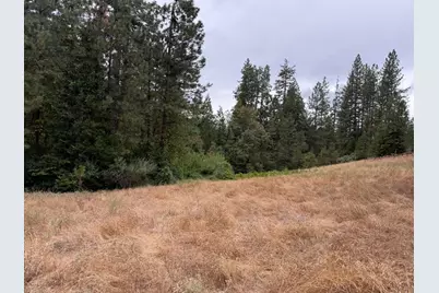 27999 Big Dipper Road, Foresthill, CA 95631 - Photo 10