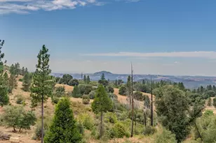 7806 Doster Rd, Mountain Ranch, CA 95246 - Photo 46