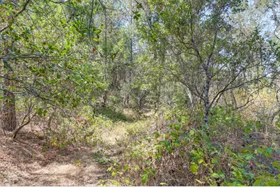 0 Browns Rd, Placerville, CA 95667 - Photo 18
