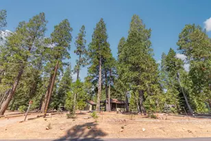 19155 Pine Dr, Pioneer, CA 95666 - Photo 44