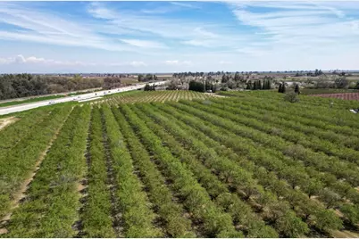 1710 Avenue 388, Kingsburg, CA 93631 - Photo 4