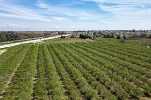 1710 Ave 388, Kingsburg, CA 93631 - Photo 4