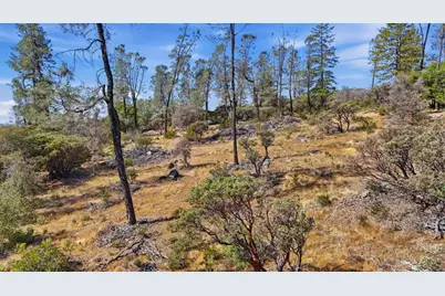 0 Deadmans Flat, Grass Valley, CA 95949 - Photo 14